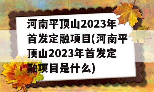 河南平顶山2023年首发定融项目(河南平顶山2023年首发定融项目是什么)