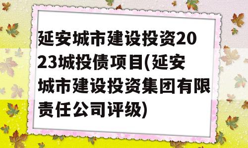 延安城市建设投资2023城投债项目(延安城市建设投资集团有限责任公司评级)