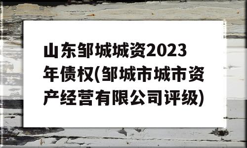 山东邹城城资2023年债权(邹城市城市资产经营有限公司评级)