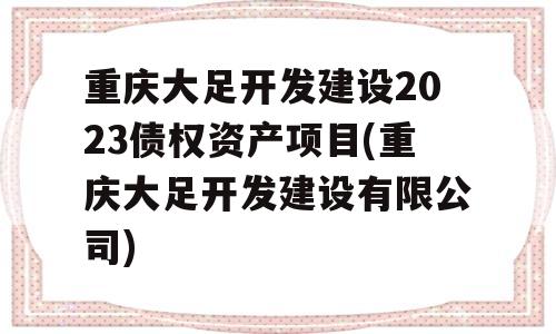 重庆大足开发建设2023债权资产项目(重庆大足开发建设有限公司)