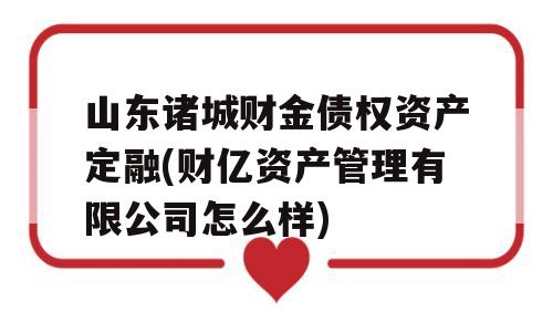 山东诸城财金债权资产定融(财亿资产管理有限公司怎么样)