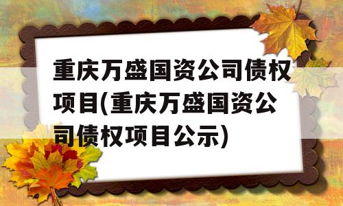 重庆万盛国资公司债权项目(重庆万盛国资公司债权项目公示)