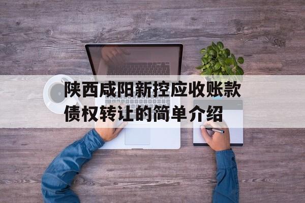 陕西咸阳新控应收账款债权转让的简单介绍