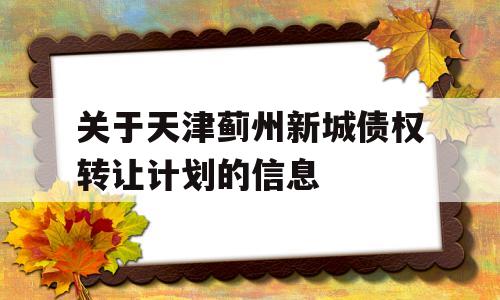 关于天津蓟州新城债权转让计划的信息