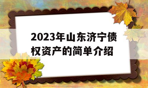 2023年山东济宁债权资产的简单介绍