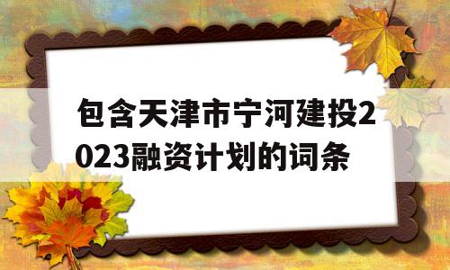 包含天津市宁河建投2023融资计划的词条