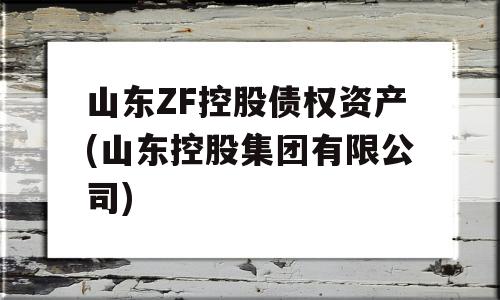 山东ZF控股债权资产(山东控股集团有限公司)