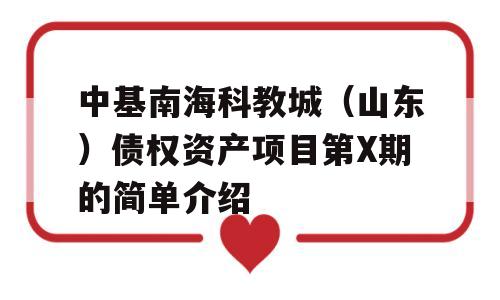 中基南海科教城（山东）债权资产项目第X期的简单介绍