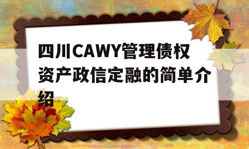 四川CAWY管理债权资产政信定融的简单介绍