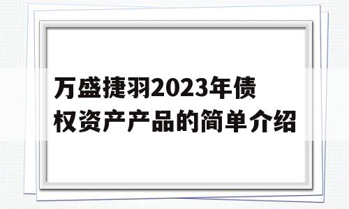 万盛捷羽2023年债权资产产品的简单介绍