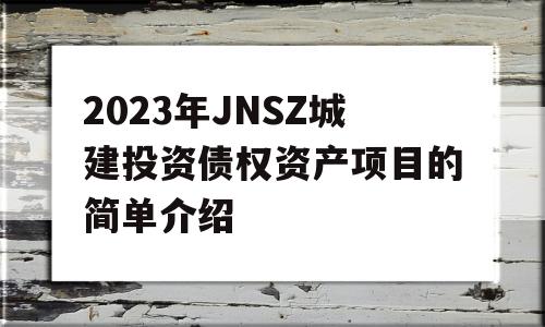 2023年JNSZ城建投资债权资产项目的简单介绍