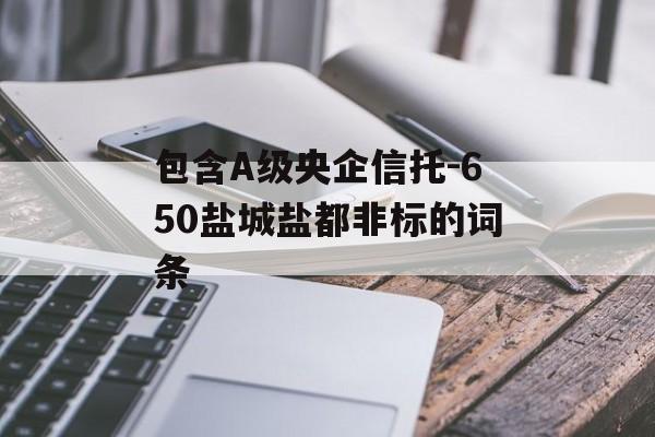 包含A级央企信托-650盐城盐都非标的词条