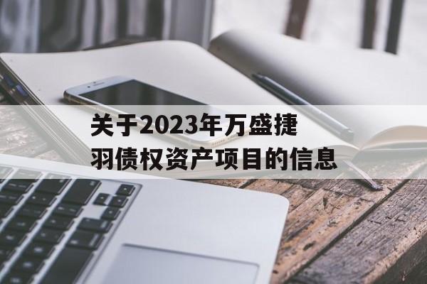 关于2023年万盛捷羽债权资产项目的信息