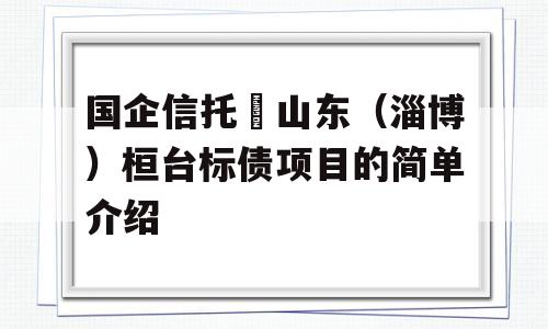 国企信托•山东（淄博）桓台标债项目的简单介绍