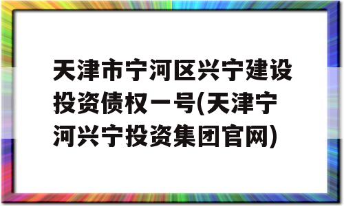 天津市宁河区兴宁建设投资债权一号(天津宁河兴宁投资集团官网)