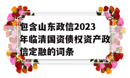 包含山东政信2023年临清国资债权资产政信定融的词条