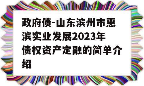 政府债-山东滨州市惠滨实业发展2023年债权资产定融的简单介绍