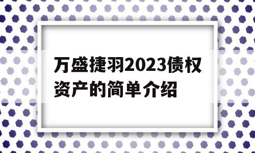 万盛捷羽2023债权资产的简单介绍