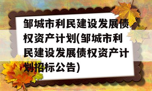 邹城市利民建设发展债权资产计划(邹城市利民建设发展债权资产计划招标公告)