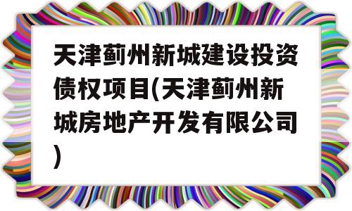 天津蓟州新城建设投资债权项目(天津蓟州新城房地产开发有限公司)