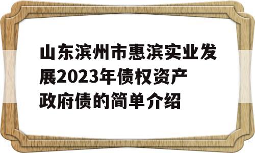 山东滨州市惠滨实业发展2023年债权资产政府债的简单介绍