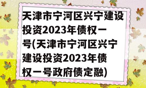 天津市宁河区兴宁建设投资2023年债权一号(天津市宁河区兴宁建设投资2023年债权一号政府债定融)