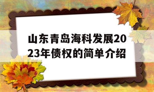 山东青岛海科发展2023年债权的简单介绍