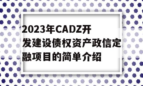 2023年CADZ开发建设债权资产政信定融项目的简单介绍