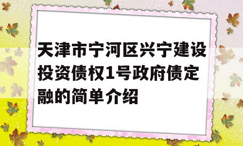 天津市宁河区兴宁建设投资债权1号政府债定融的简单介绍