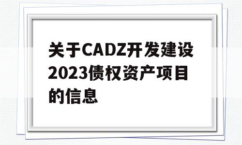 关于CADZ开发建设2023债权资产项目的信息