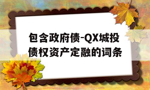 包含政府债-QX城投债权资产定融的词条