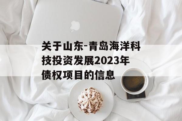 关于山东-青岛海洋科技投资发展2023年债权项目的信息