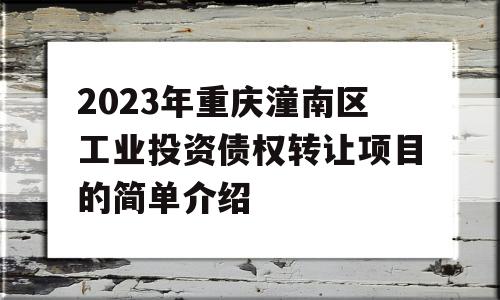 2023年重庆潼南区工业投资债权转让项目的简单介绍