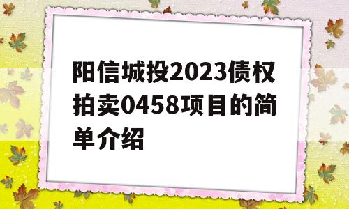 阳信城投2023债权拍卖0458项目的简单介绍