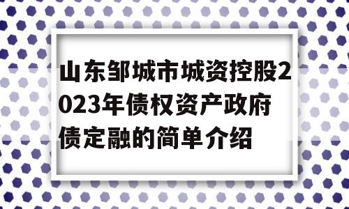 山东邹城市城资控股2023年债权资产政府债定融的简单介绍