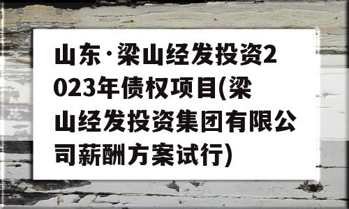 山东·梁山经发投资2023年债权项目(梁山经发投资集团有限公司薪酬方案试行)