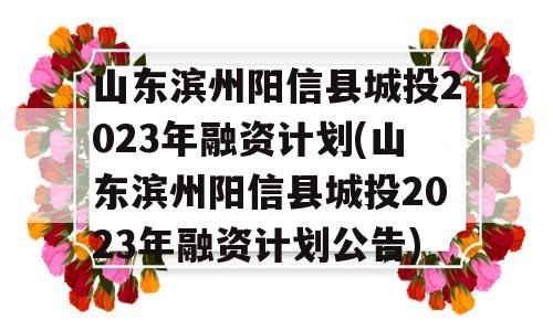 山东滨州阳信县城投2023年融资计划(山东滨州阳信县城投2023年融资计划公告)