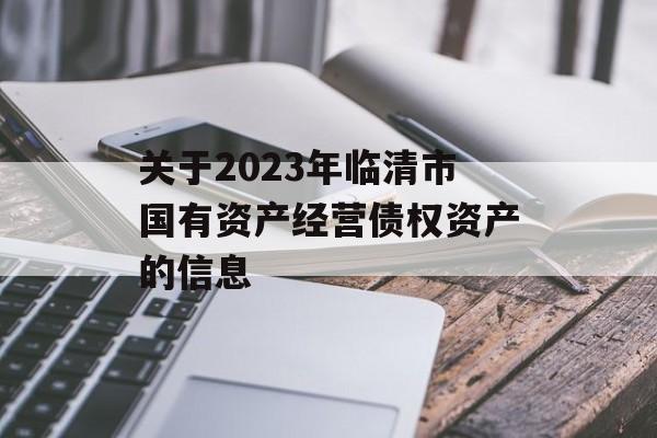 关于2023年临清市国有资产经营债权资产的信息