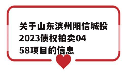 关于山东滨州阳信城投2023债权拍卖0458项目的信息