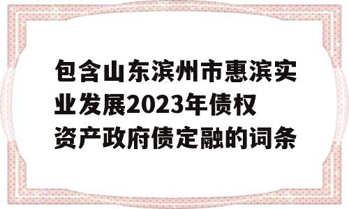 包含山东滨州市惠滨实业发展2023年债权资产政府债定融的词条