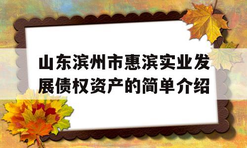 山东滨州市惠滨实业发展债权资产的简单介绍