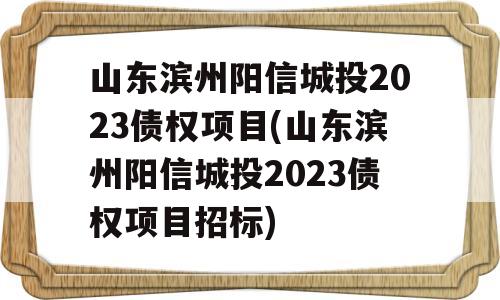 山东滨州阳信城投2023债权项目(山东滨州阳信城投2023债权项目招标)