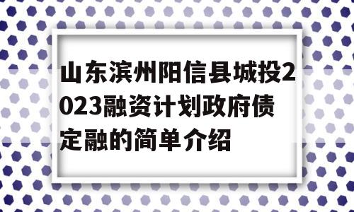 山东滨州阳信县城投2023融资计划政府债定融的简单介绍