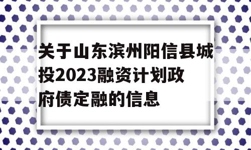 关于山东滨州阳信县城投2023融资计划政府债定融的信息