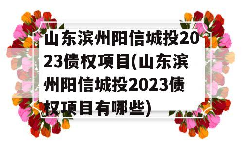 山东滨州阳信城投2023债权项目(山东滨州阳信城投2023债权项目有哪些)