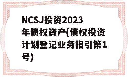 NCSJ投资2023年债权资产(债权投资计划登记业务指引第1号)