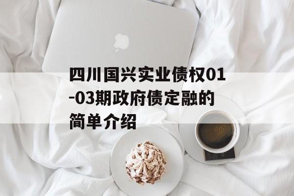 四川国兴实业债权01-03期政府债定融的简单介绍