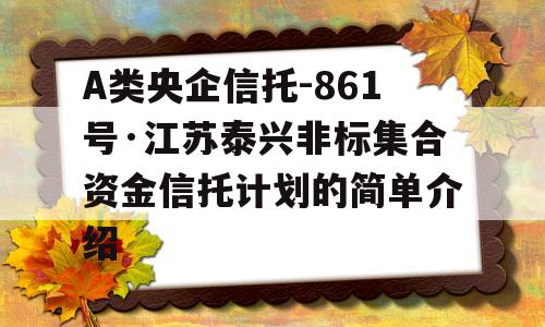 A类央企信托-861号·江苏泰兴非标集合资金信托计划的简单介绍