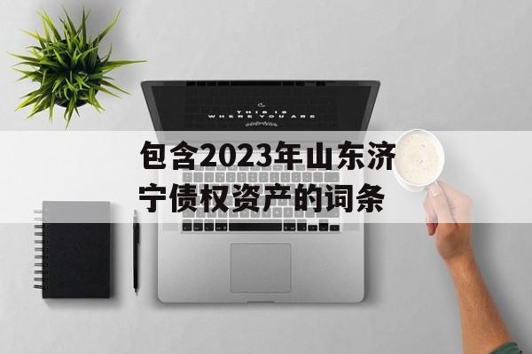 包含2023年山东济宁债权资产的词条