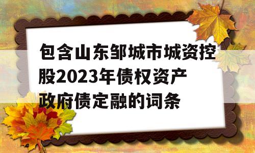 包含山东邹城市城资控股2023年债权资产政府债定融的词条